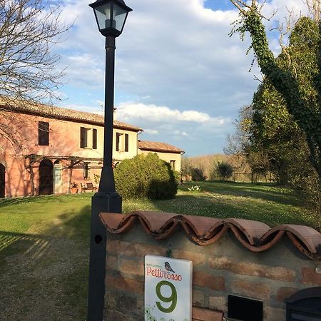 Agriturismo Il Pettirosso Guest House Forlì Exterior foto