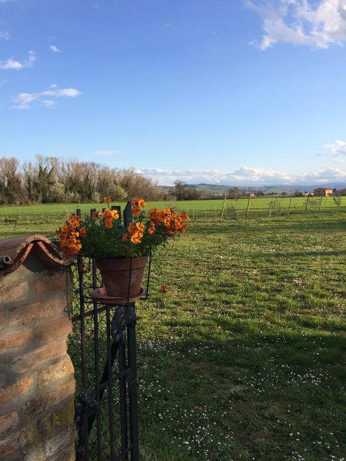 Agriturismo Il Pettirosso Guest House Forlì Exterior foto